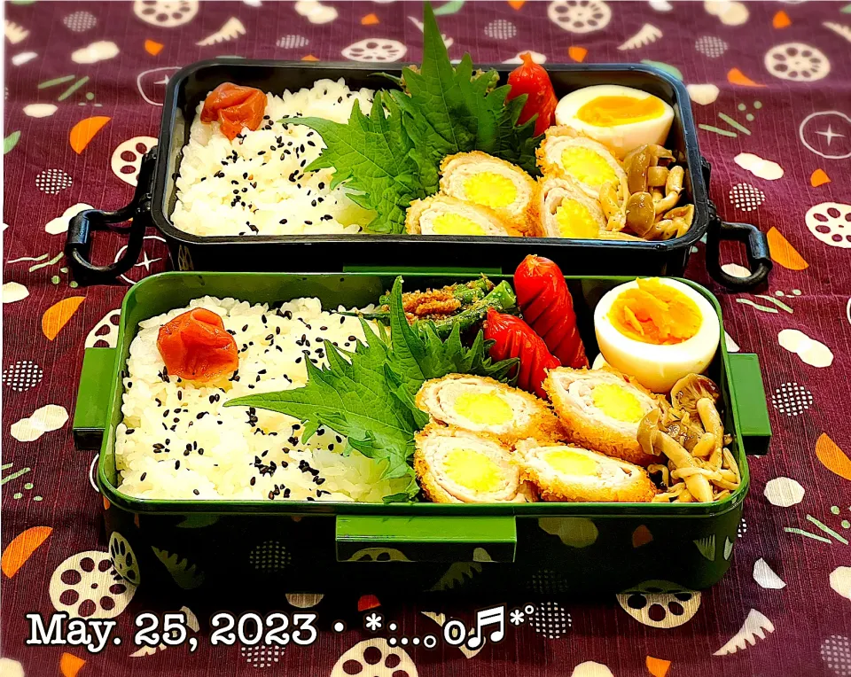 Snapdishの料理写真:2023/05/25お弁当〜♡|いく❤️さん