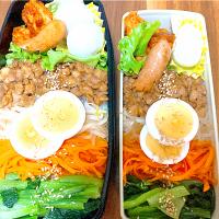 ビビンバ弁当