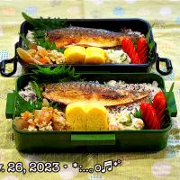2023/05/26お弁当〜♡