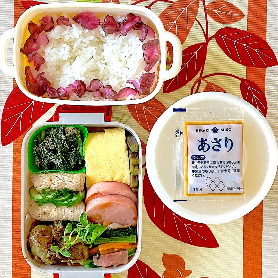 今日のお弁当|🌻ako ·͜·♡peco🌻さん