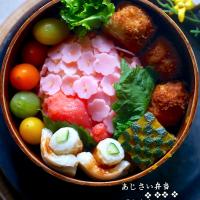 紫陽花弁当