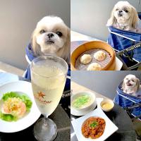 テラス席でプクと一緒にカジュアルランチ