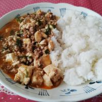 麻婆飯