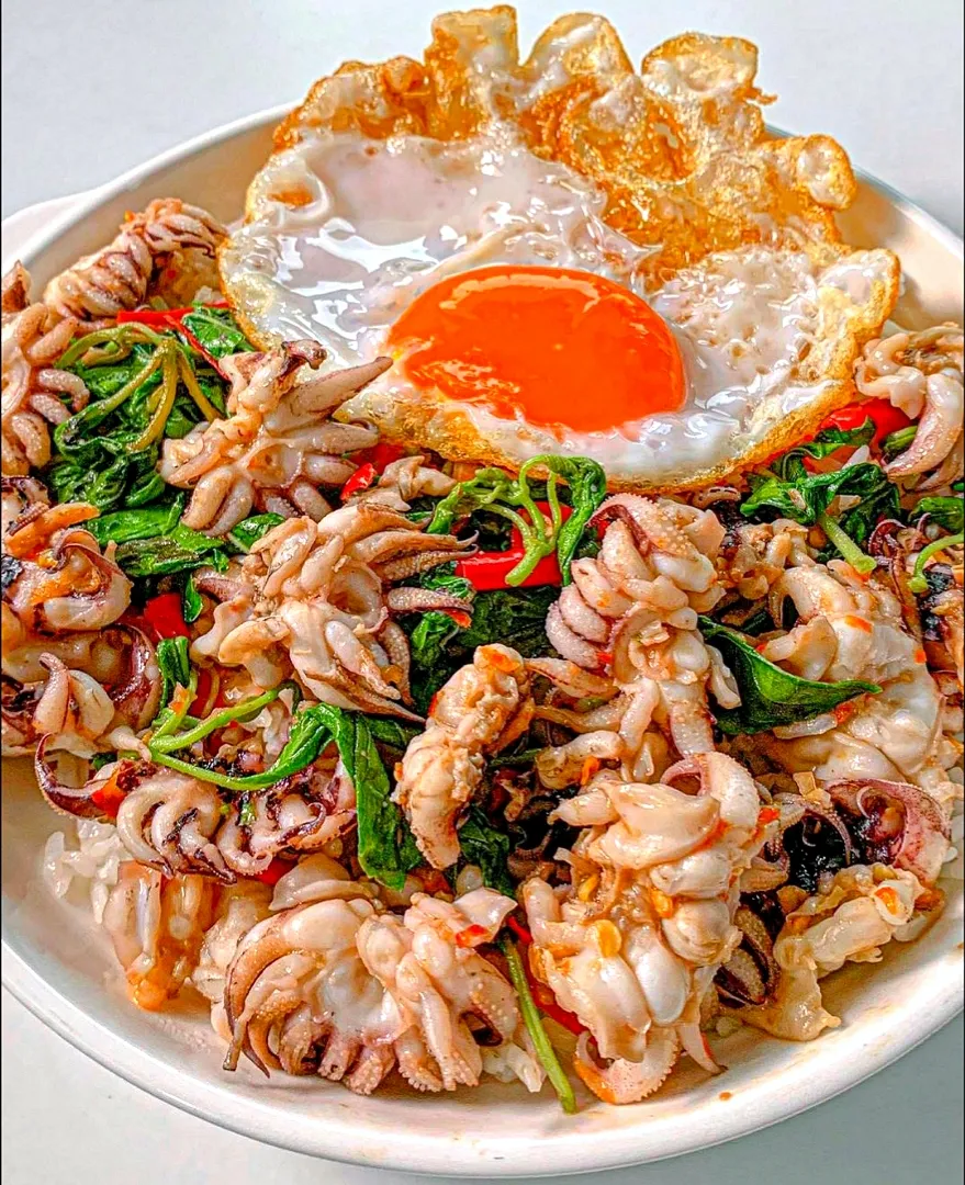 Stir-fried Squid w/ Holy Basil & Chili on Topped w/ Crispy Fried Egg 🌶️🦑🌶️🍳
'Gaprao Pla Muek + Kai Dao' (กะเพราปลาหมึกไข่ดาว) 🤤|An'leeさん