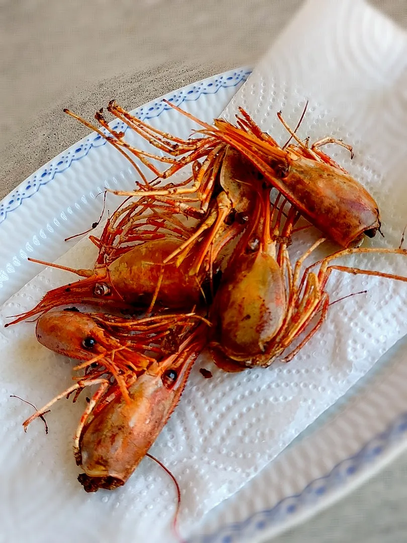 ぼたん海老(spot prawn)の頭の素揚げ|samiさん