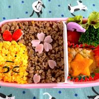 小1 運動会弁当