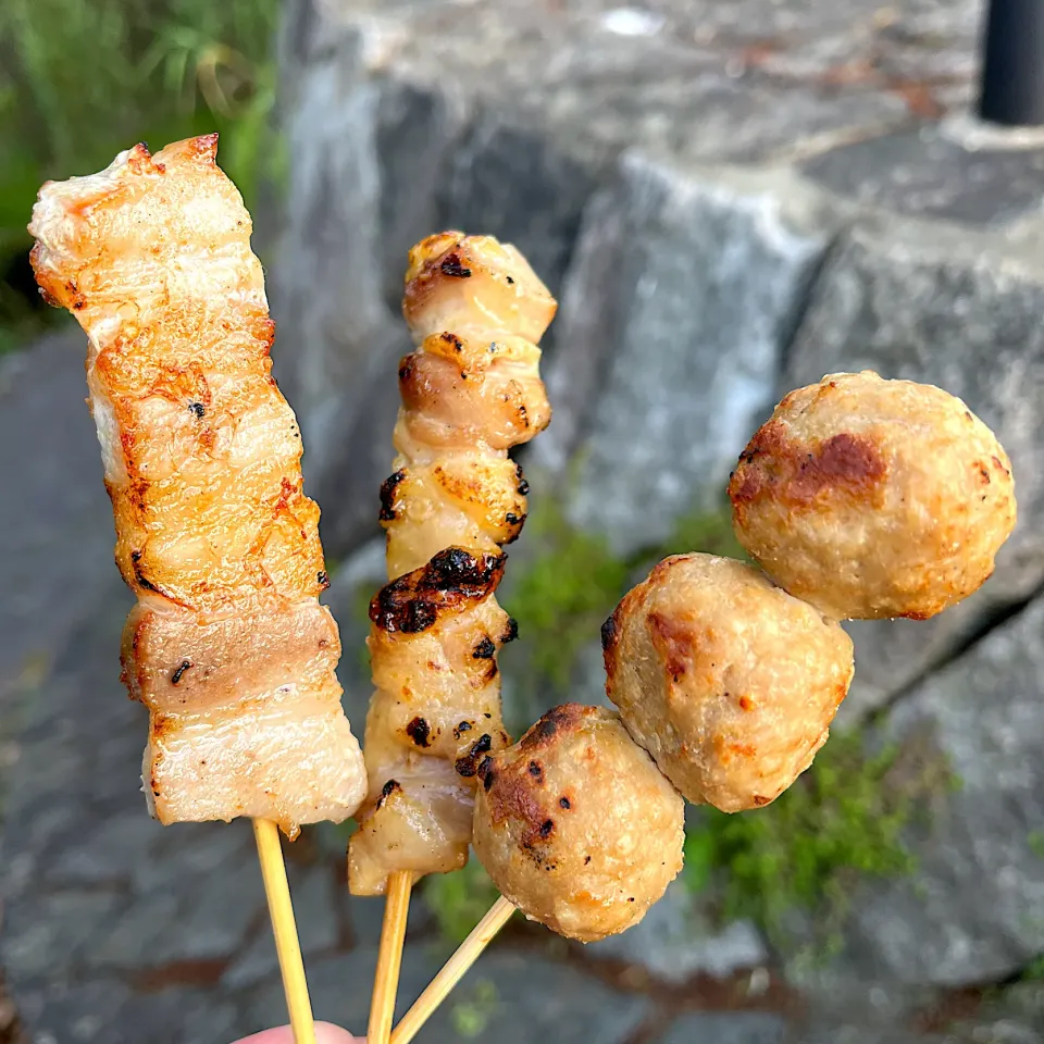 山口市 一の坂川ほたる祭りの焼鳥|Kouji  Kobayashiさん