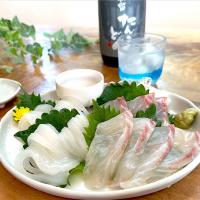 イカとタイの刺身で晩酌