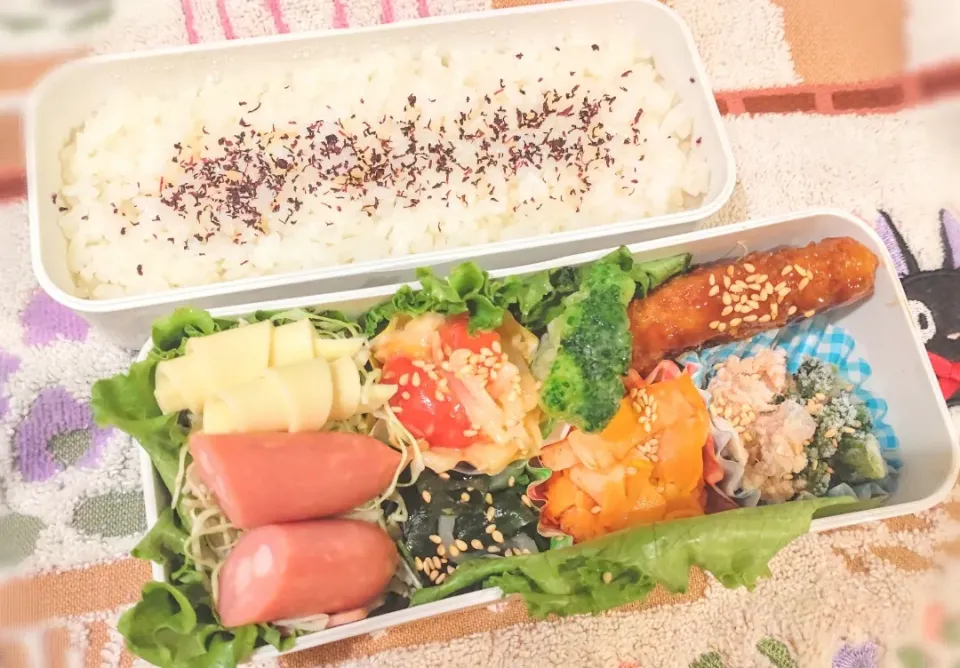 5月28日 今日のお弁当|ビアンカさん