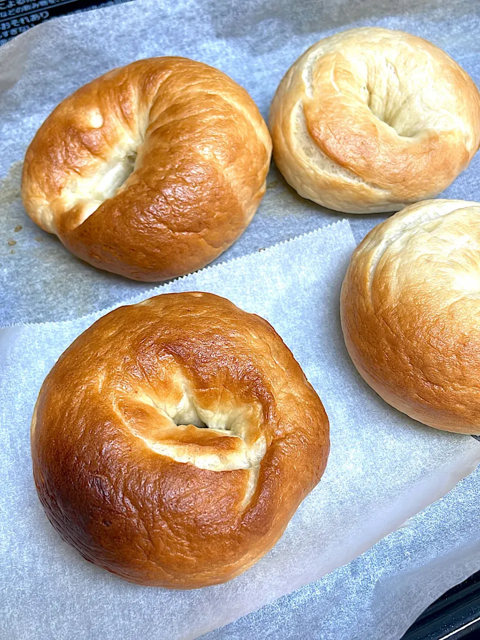 初ベーグル🥯|かおたまさん