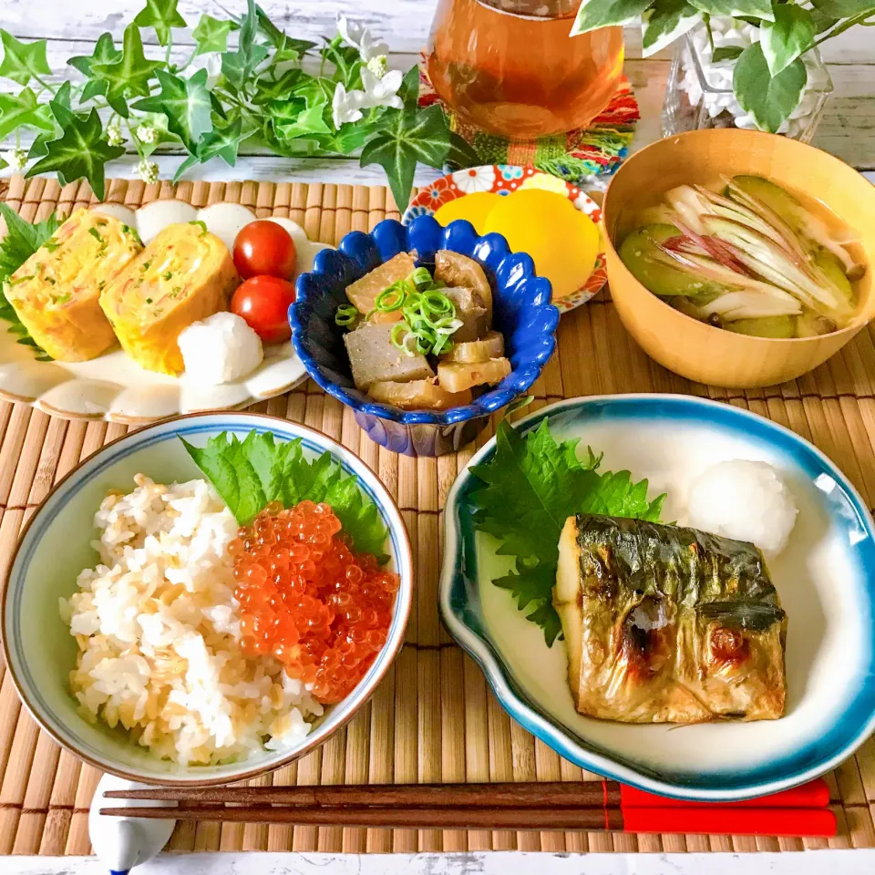 鯖の塩焼きでお昼ご飯|ハマーさん