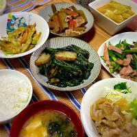 お夕飯。ウドの酢味噌和え・フキの油炒め・竹の子卵とじ・ウドの芽のオイスターソース炒め・アスパラバター醤油ソテー・豚の生姜焼き・アオサと豆腐のお味噌汁