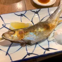 Snapdishの料理写真:トロイワシ|mam☻**゜さん