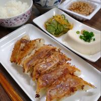 今日はテンホウの餃子の日
