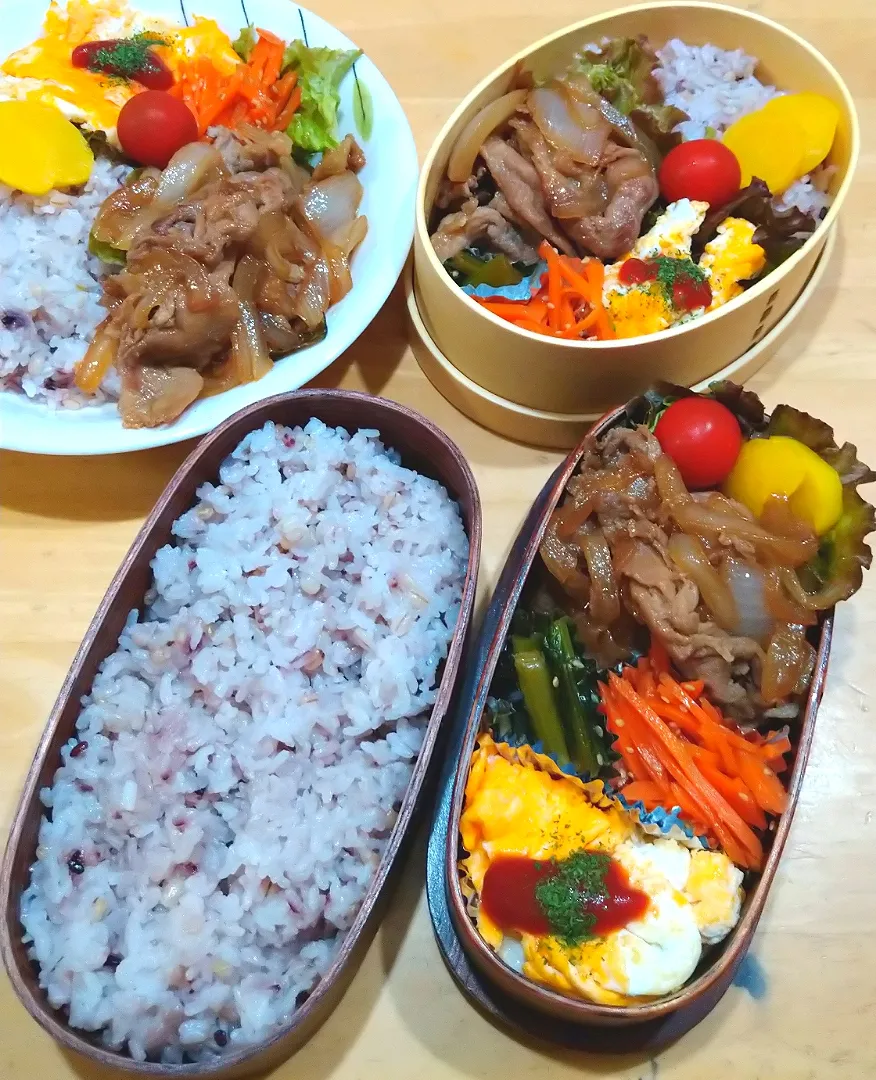 豚肉の焼肉弁当|NOZUさん