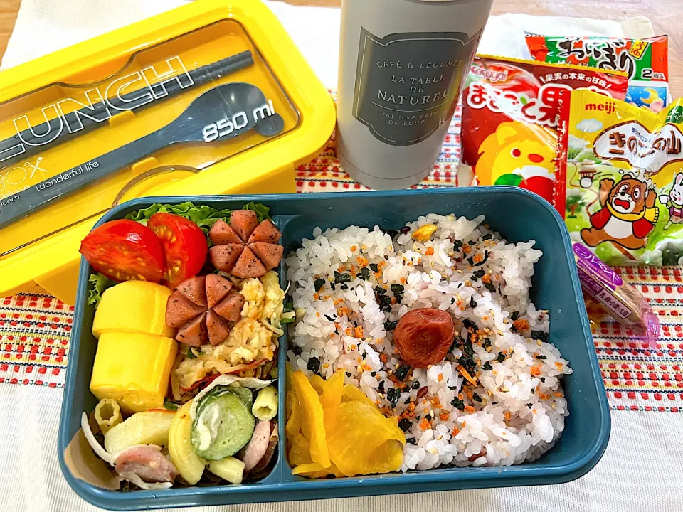 今日のヤツのお弁当（R5.5.29）|え〜かさん