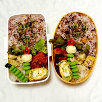 2023.5.29  お弁当