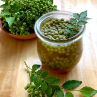 山椒茶（実山椒のはちみつ漬け）