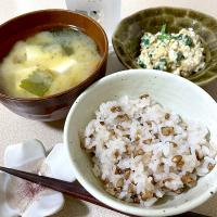 230529お昼ごはん