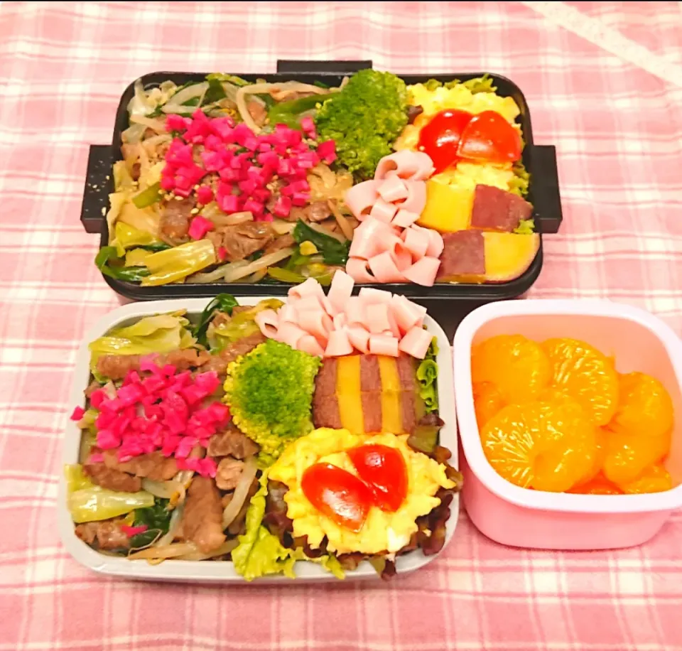 豚にらもやし丼弁当❤️|みちゅあしさん