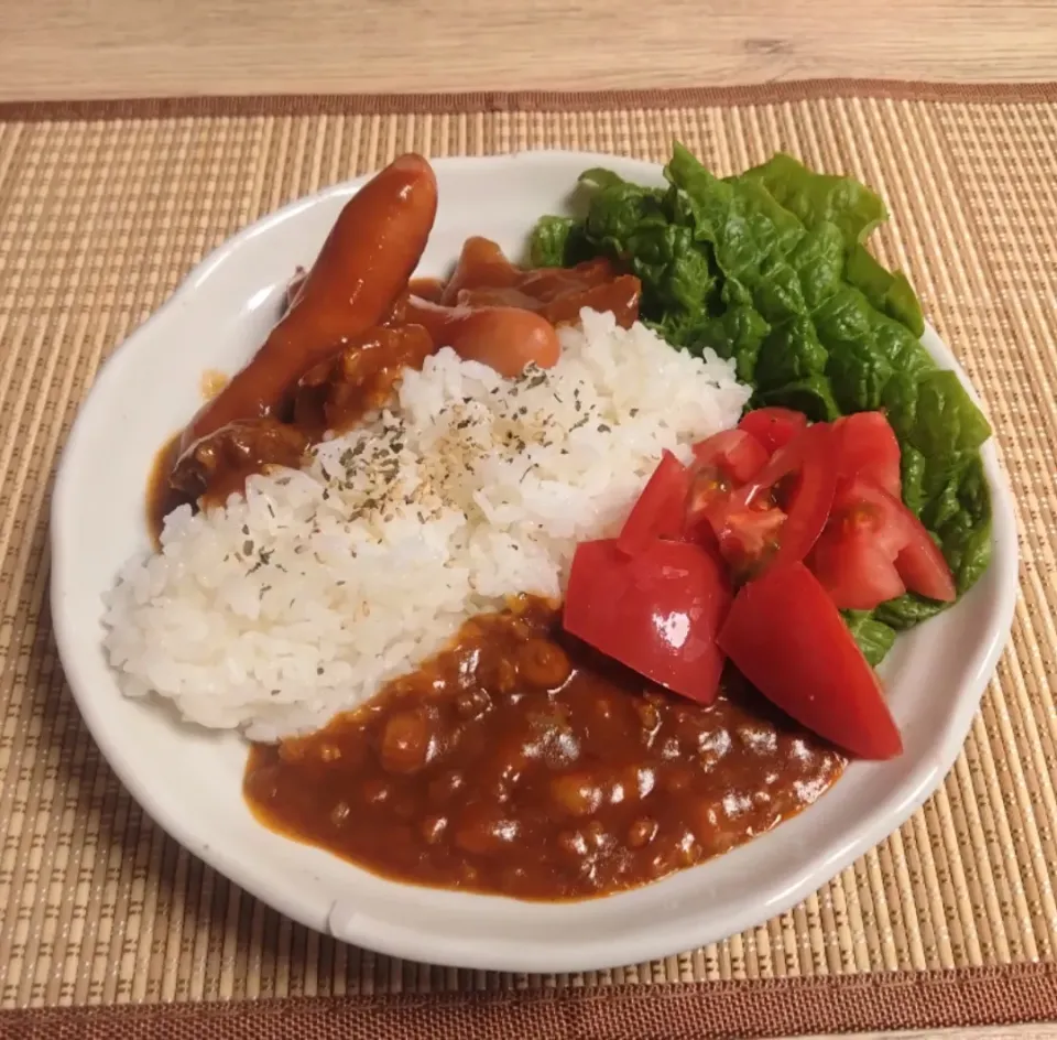 プラントカレー2種のランチ！|なおさん