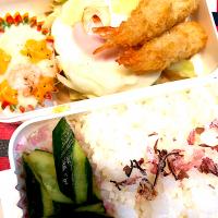 5/30わたしの弁当