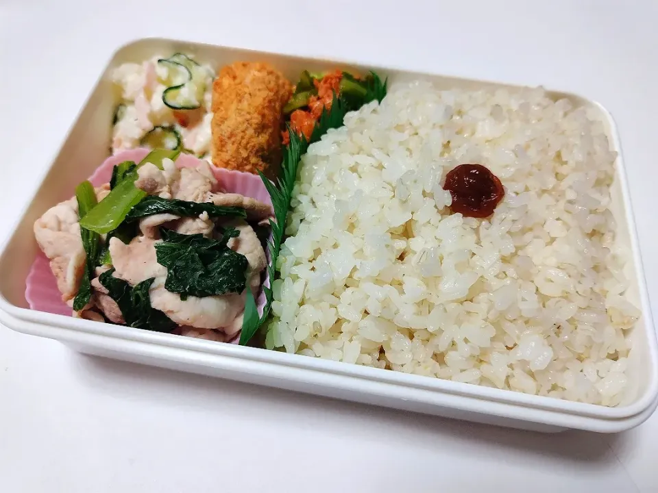 お弁当|Y－Mさん