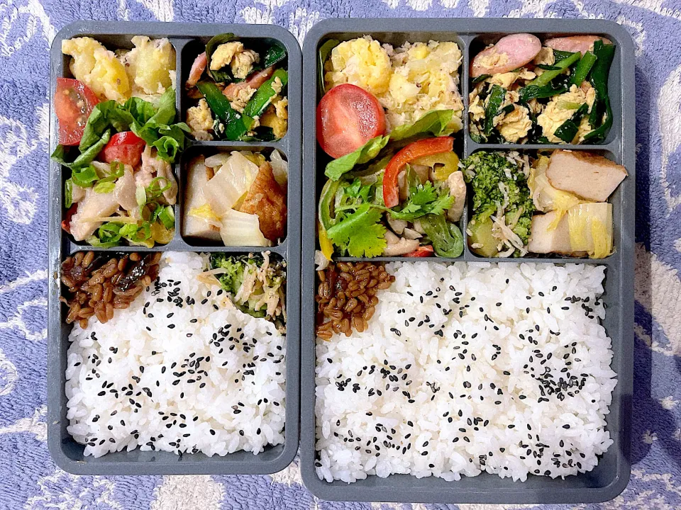 鶏肉のココナッツミルク炒めのお弁当|とぴさん