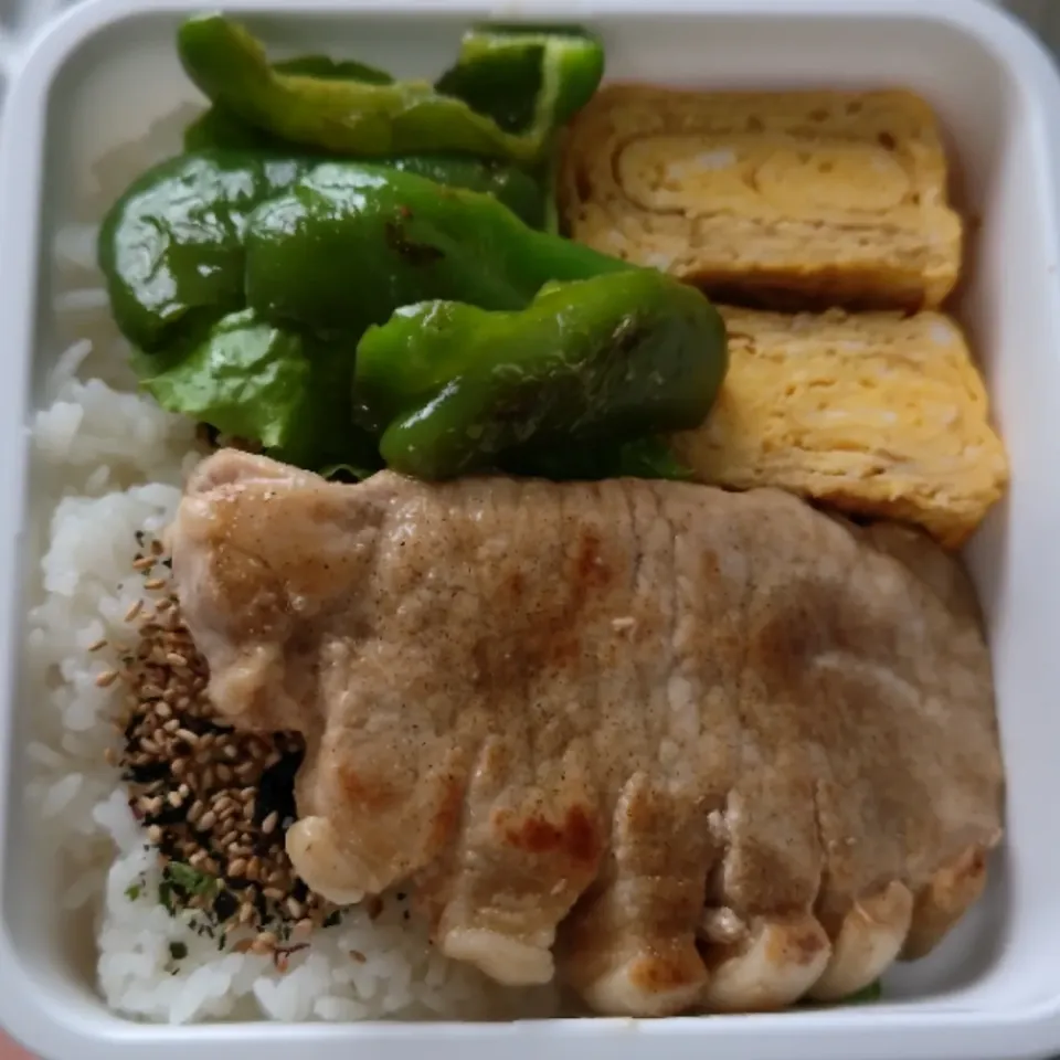 今日のお弁当|そごうりんさん