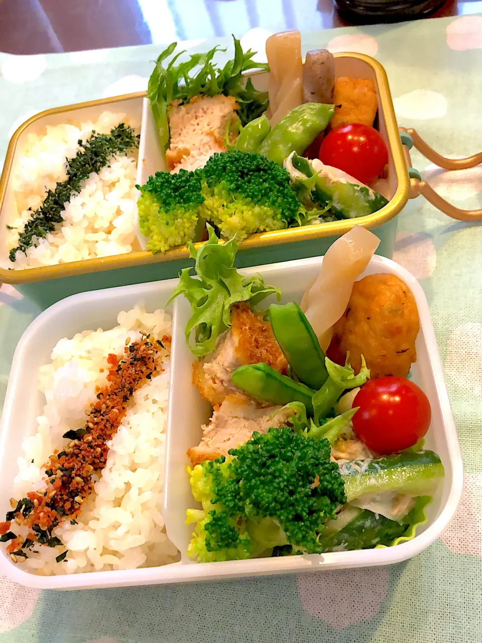 2023.5.31  ✩今日のお弁当✩きゅうりのツナサラダ.•♬|rinrin*mama*さん