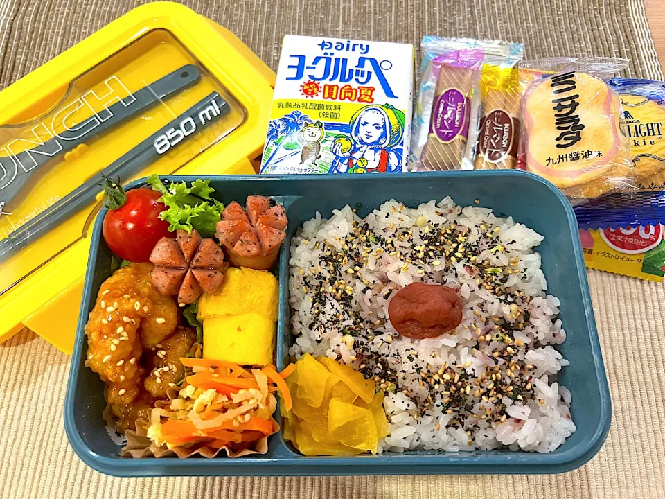 今日のヤツのお弁当（R5.5.31）|え〜かさん