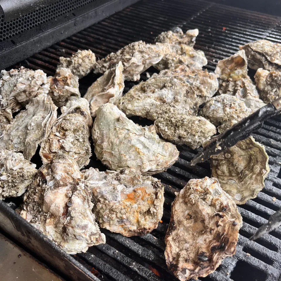 Snapdishの料理写真:Grilled oysters|🌺IAnneさん