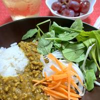キーマカレー 野菜乗せ
