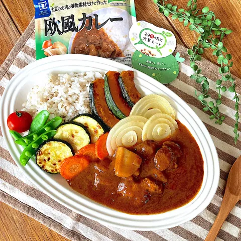 「PlantRECIPE(プラントレシピ) 欧風カレー」を使ってみたSnapdishの料理・レシピ写真:欧風カレー