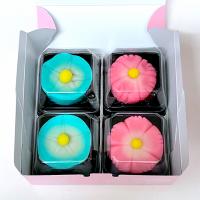 息子のお土産 手作り生菓子