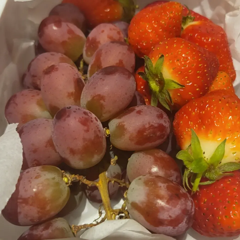 Fresh Fruit!|beeさん