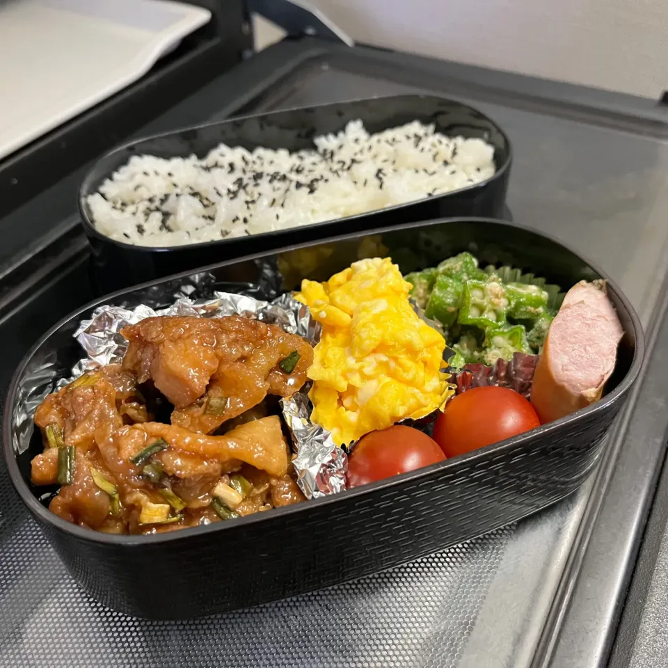 Snapdishの料理写真:甘辛チキン弁当|sanaeさん