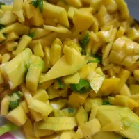 Mango Salsa|tania mahbubさん