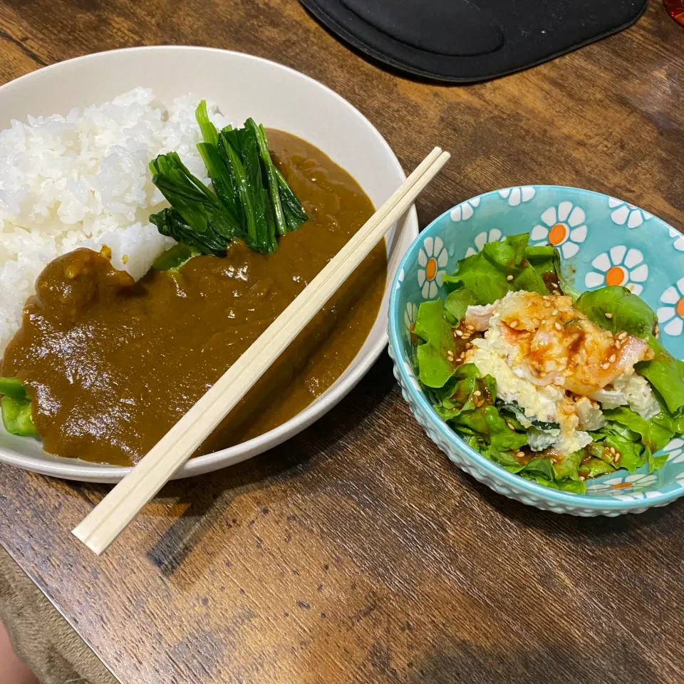 スパイスカレーとポテサラ。|とんこちーのさん