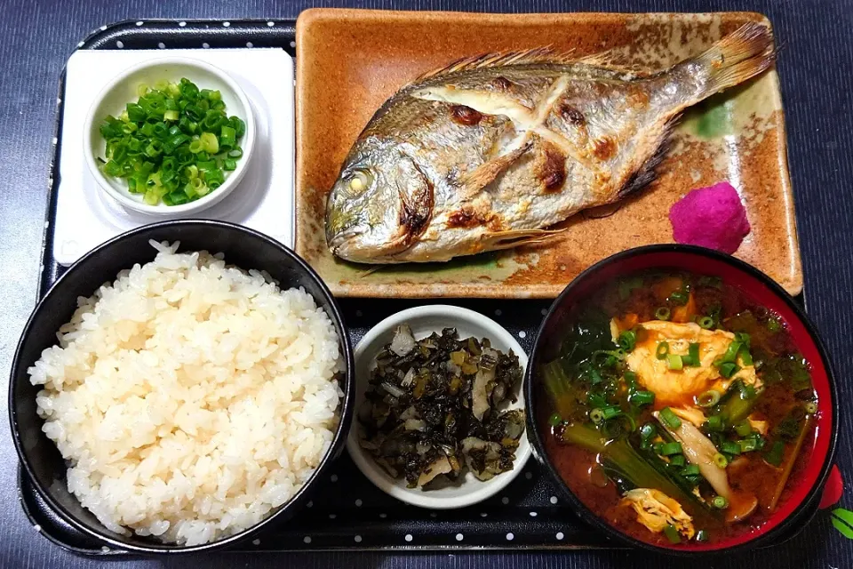 今日の朝ごはん（秋田県産淡雪こまちにヘダイの塩焼、納豆、赤だしのみそ汁（具材は玉子・江戸菜・シメジ）、きざみすぐき）

※大根おろしは三浦野菜の紅くるり大根。|Mars＠釜飯作り研究中さん