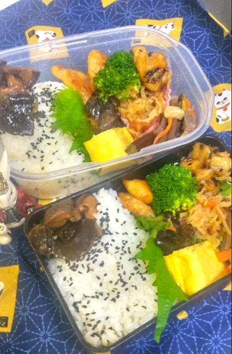 '23．6/4
本日のお弁当🍱|たえさん