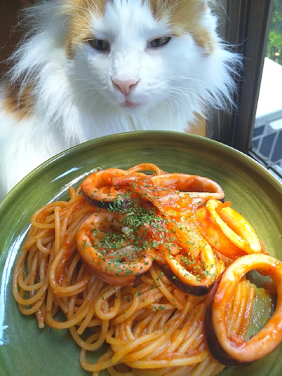 アカイカのアラビアータ🍝|さくらんぼさん