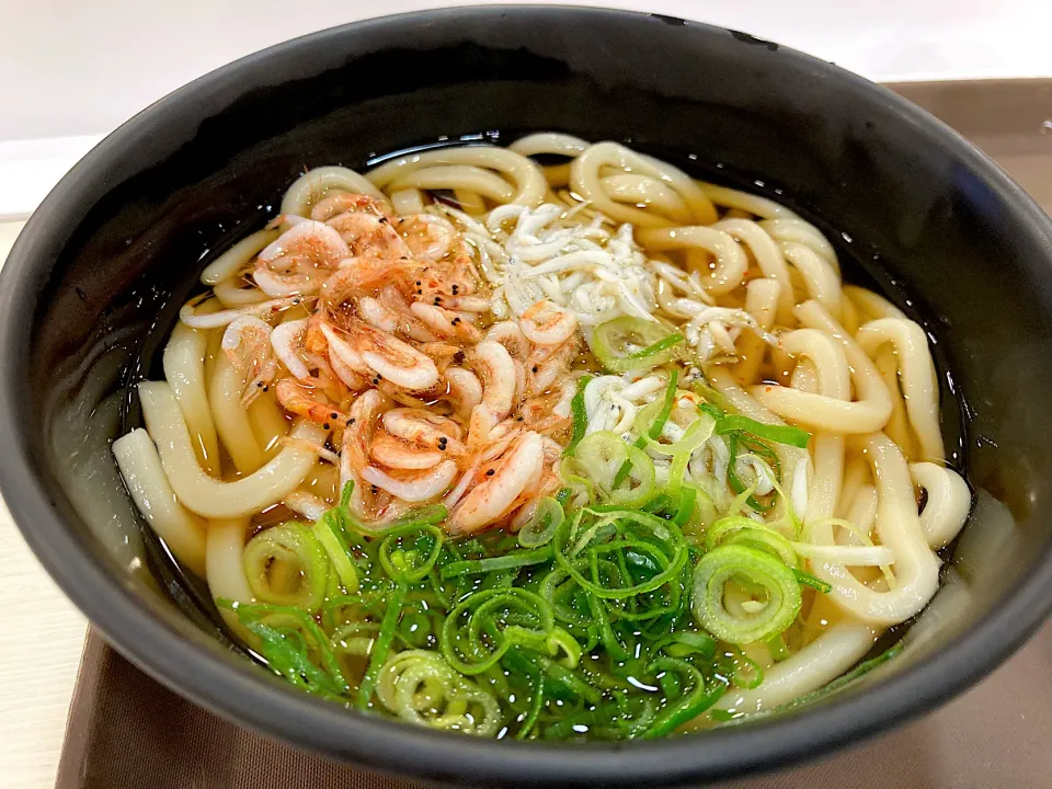 しらすと桜えびのうどん|はっちぃさん