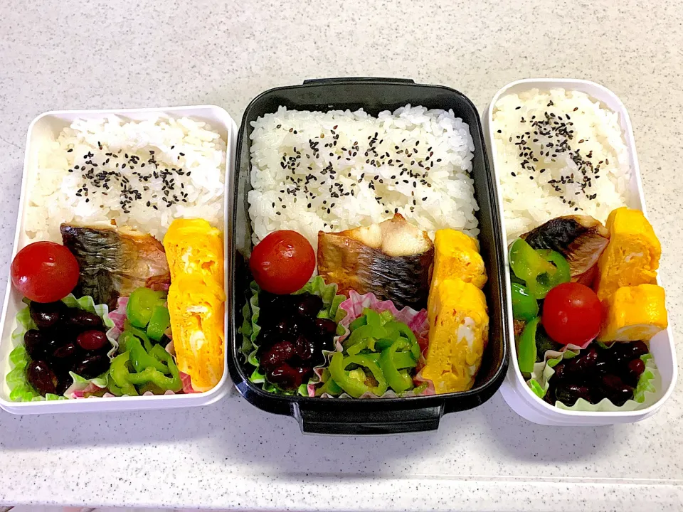 Snapdishの料理写真:2023年6月5日お弁当🍱|もぐぷーさん