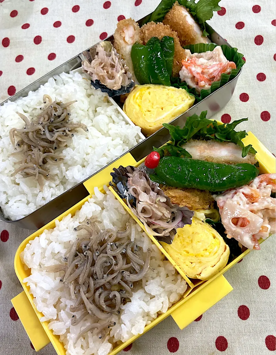 Snapdishの料理写真:6月5日 週の始まり弁当🍱|sakuramochiさん