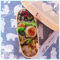 ６／５ ｍｏｎ 鮭弁当🍴