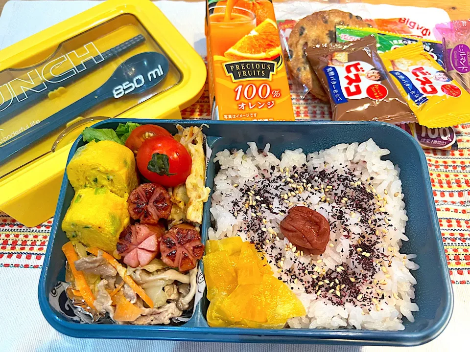 今日のヤツのお弁当（R5.6.5）|え〜かさん