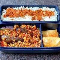 Eggplants with spicy minched chicken & spring rolls bento