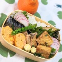 本日のお弁当〜焼鯖弁当〜