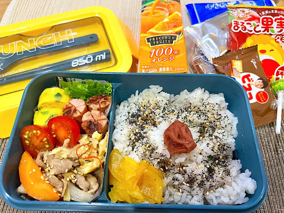 今日のヤツのお弁当（R5.6.6）|え〜かさん